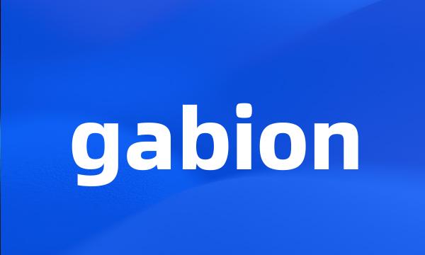 gabion