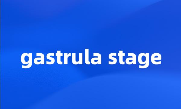 gastrula stage