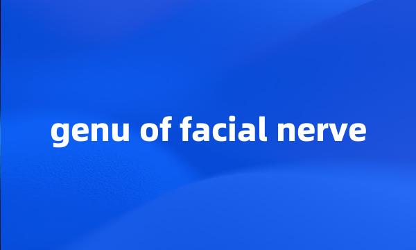 genu of facial nerve