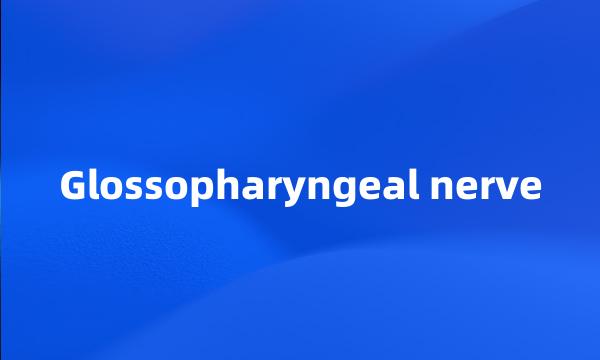 Glossopharyngeal nerve