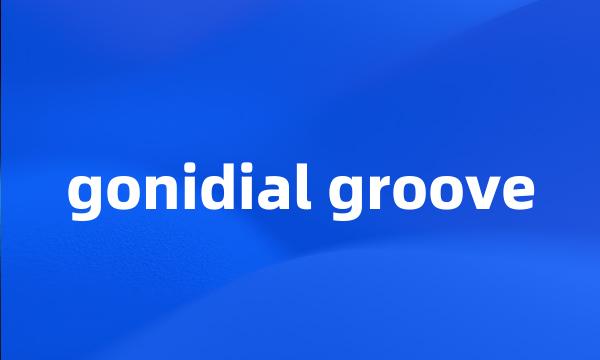 gonidial groove