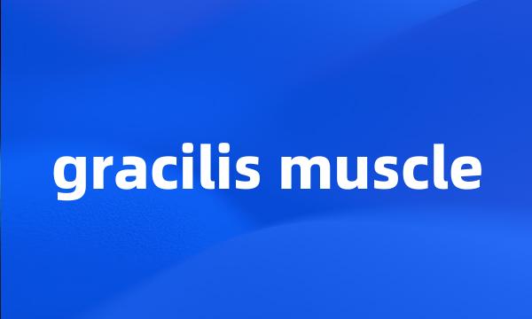 gracilis muscle