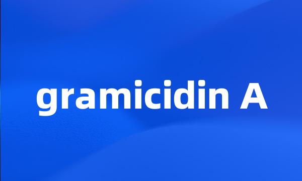 gramicidin A