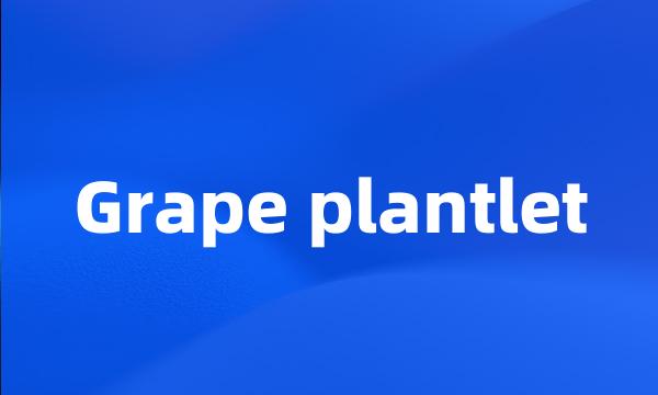 Grape plantlet