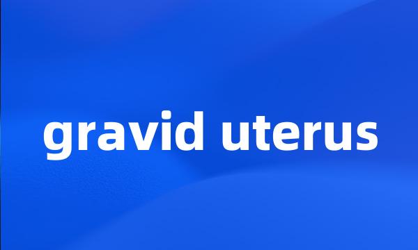 gravid uterus