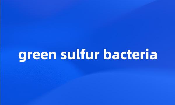 green sulfur bacteria