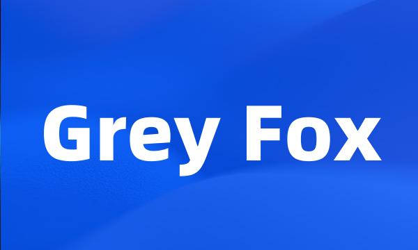 Grey Fox