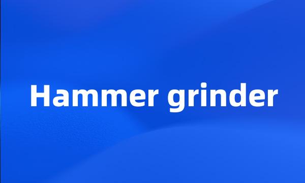 Hammer grinder