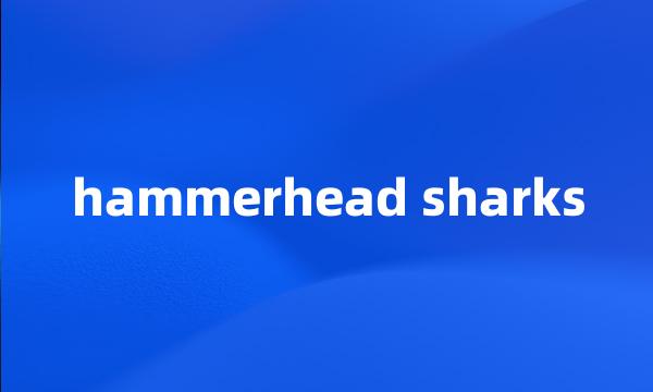 hammerhead sharks