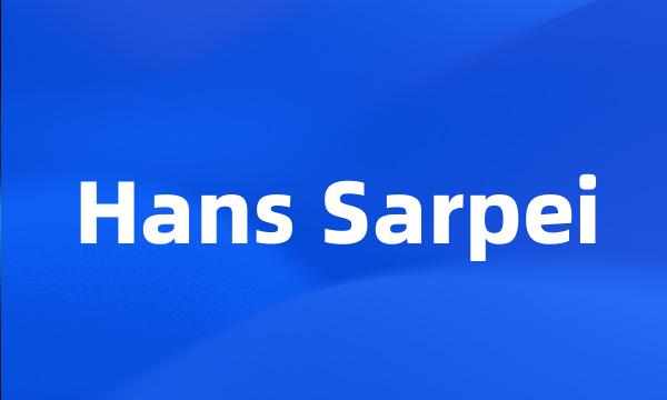 Hans Sarpei