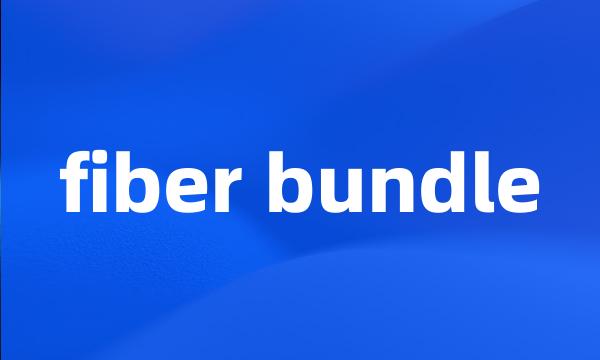 fiber bundle