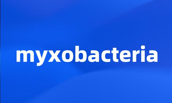 myxobacteria