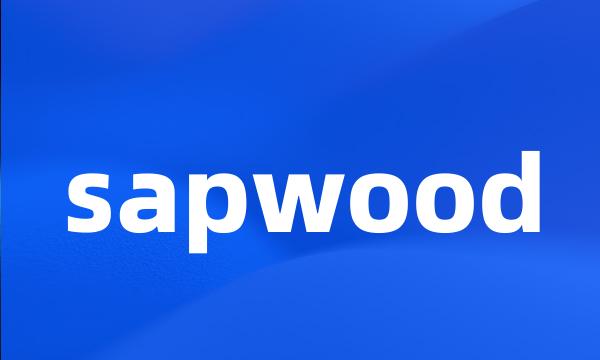 sapwood