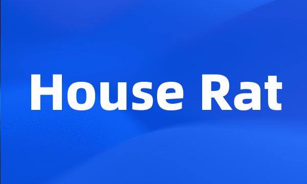 House Rat