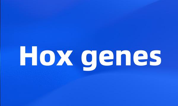 Hox genes