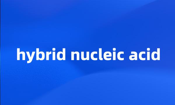 hybrid nucleic acid