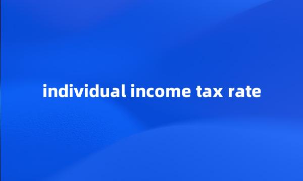 individual income tax rate