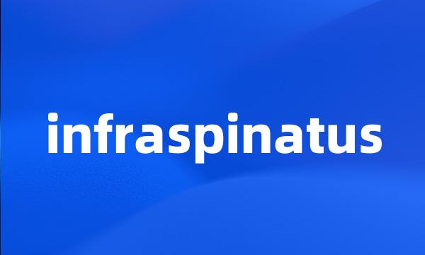 infraspinatus