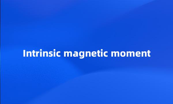 Intrinsic magnetic moment