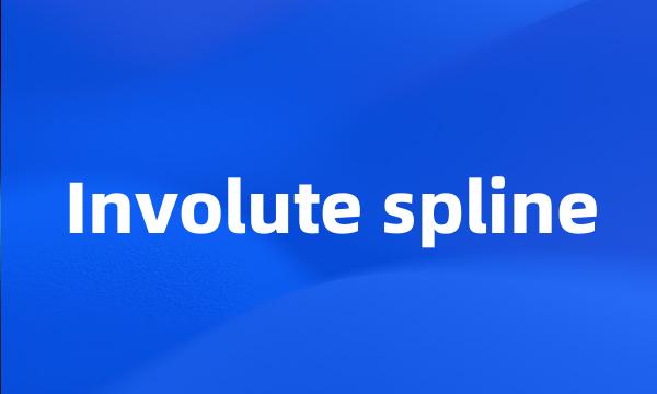 Involute spline