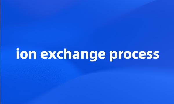 ion exchange process