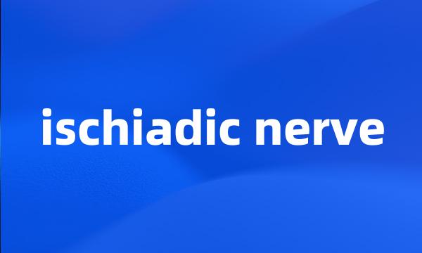 ischiadic nerve