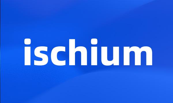 ischium