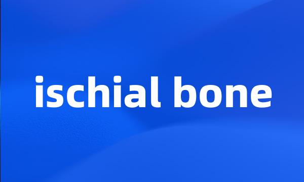 ischial bone