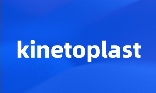 kinetoplast