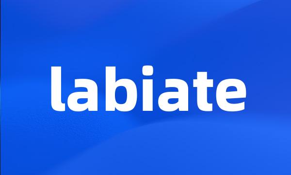 labiate