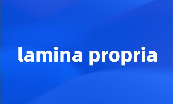 lamina propria