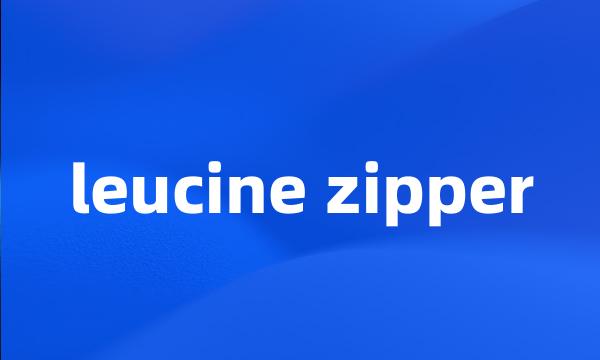 leucine zipper