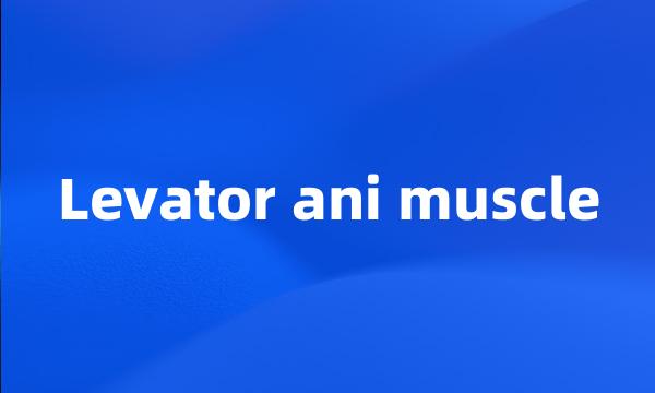 Levator ani muscle