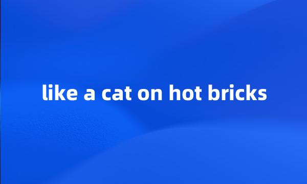 like a cat on hot bricks