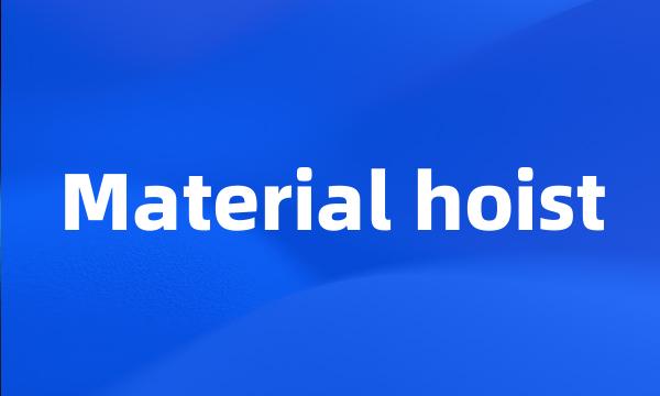 Material hoist