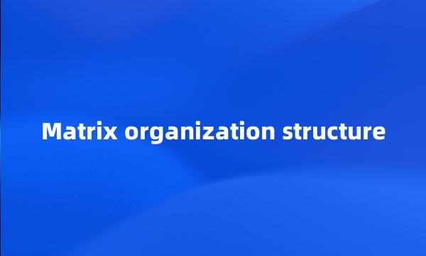 Matrix organization structure