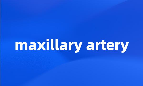 maxillary artery