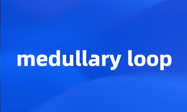 medullary loop