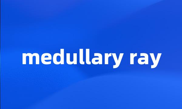 medullary ray