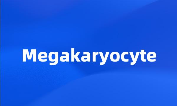 Megakaryocyte