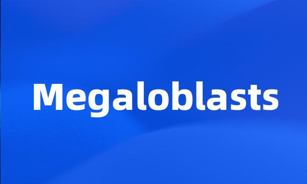 Megaloblasts