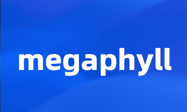 megaphyll