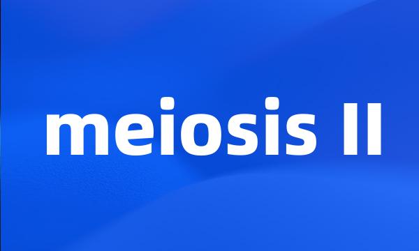 meiosis II