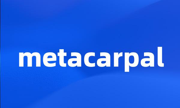 metacarpal