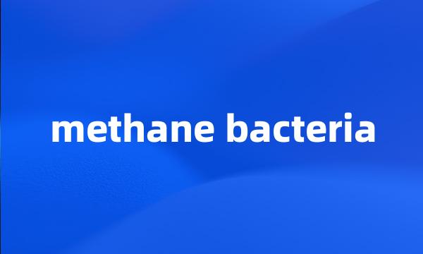 methane bacteria