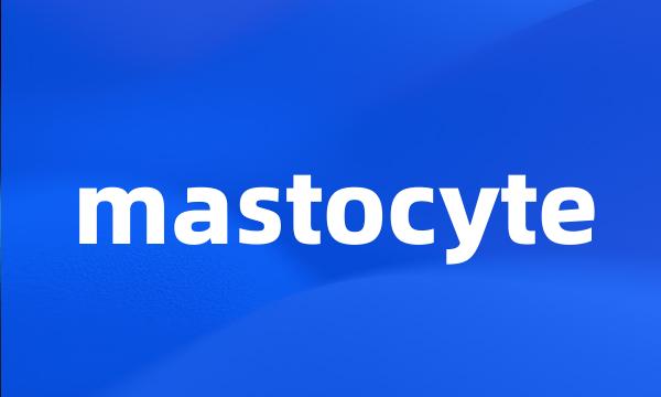 mastocyte