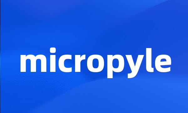 micropyle