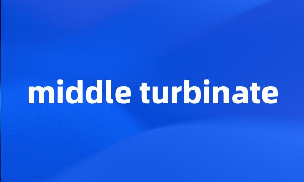 middle turbinate