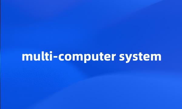 multi-computer system