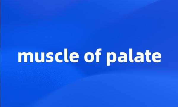 muscle of palate